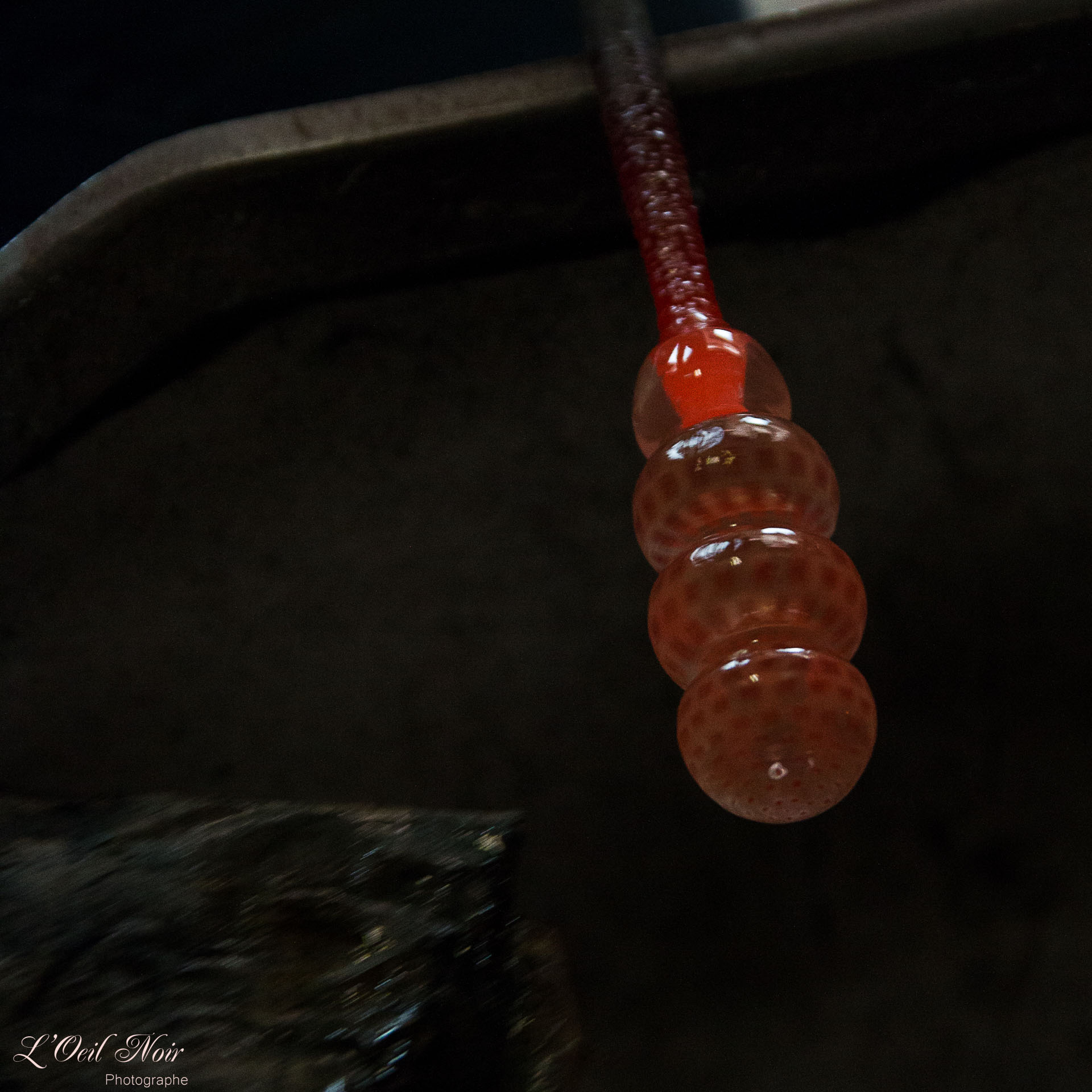 L' Oeil Noir Photographie